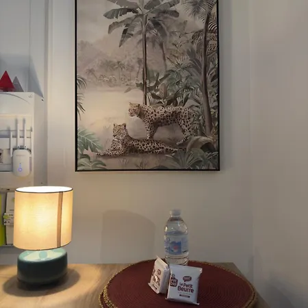 Апартаменты Voyage - Proche Centre *